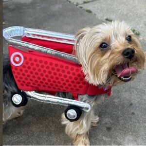 Target Shopping Cart Full Body Halloween Dog Costume - Hyde and Eek Size Small